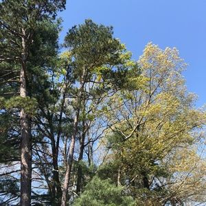 Meet your Posher, Alicia